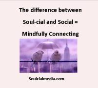 difference between soulcial and social